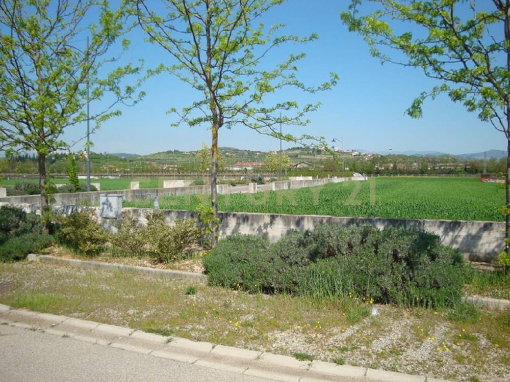 immagine annuncio 8 di 11
