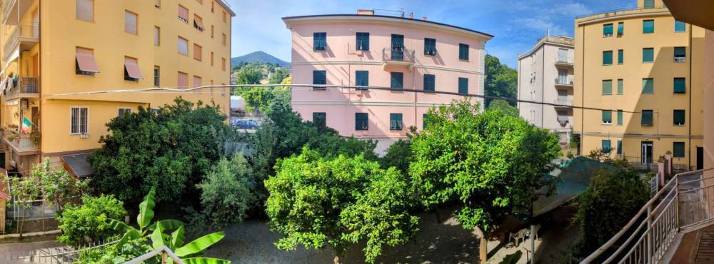immagine annuncio 3 di 13