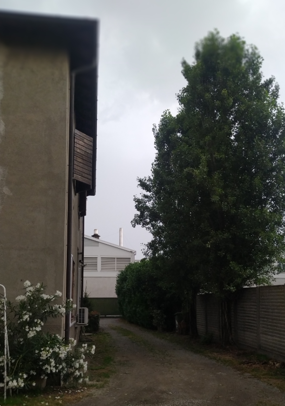 immagine annuncio 5 di 13