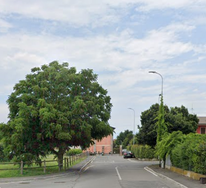 immagine annuncio 3 di 11