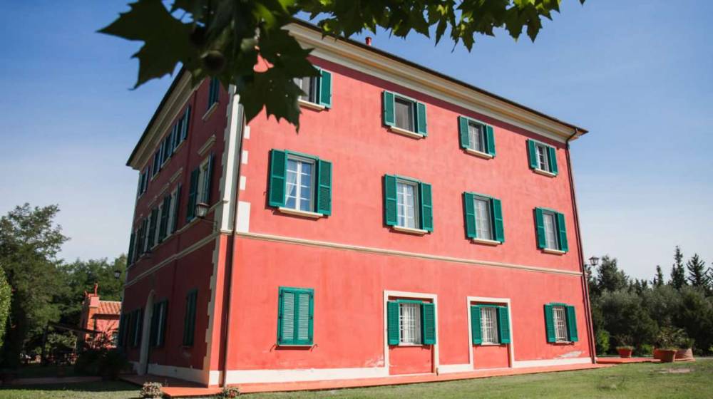 immagine annuncio 1 di 13