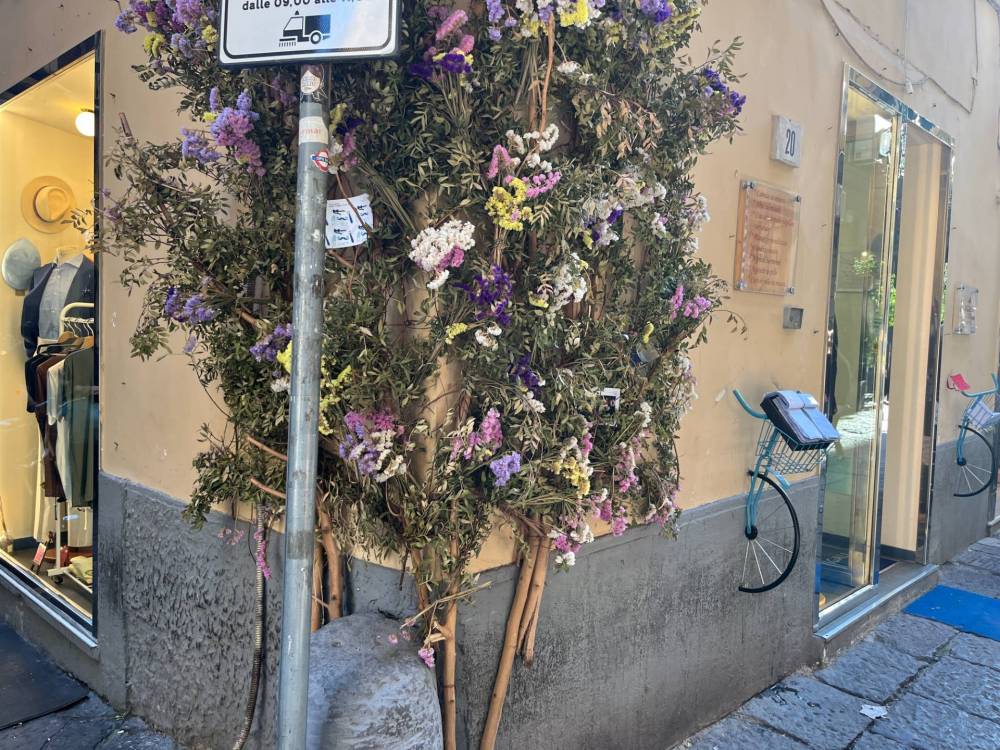 immagine annuncio 4 di 6