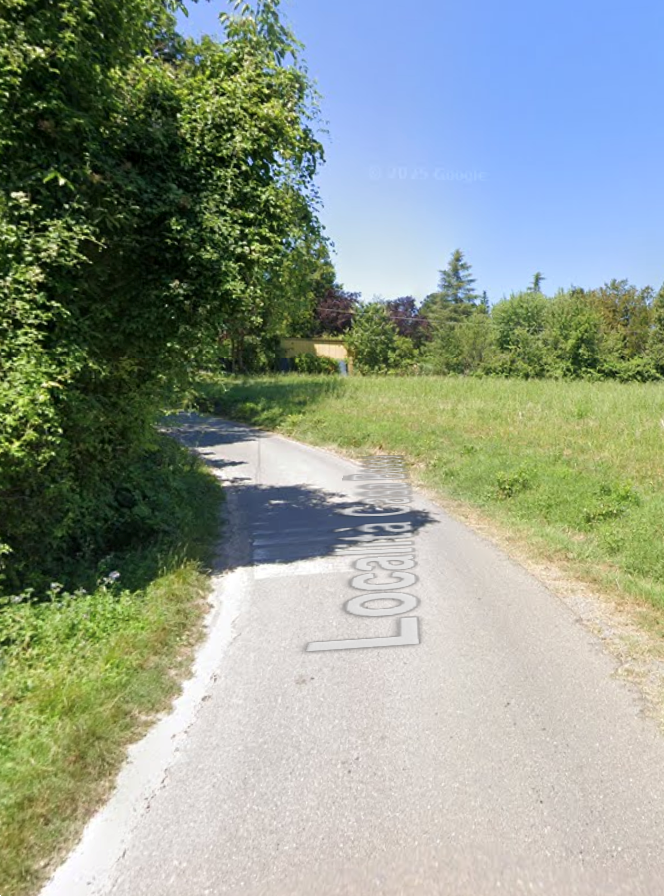 immagine annuncio 12 di 13