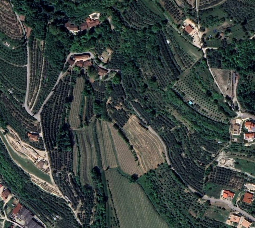 immagine annuncio 8 di 13