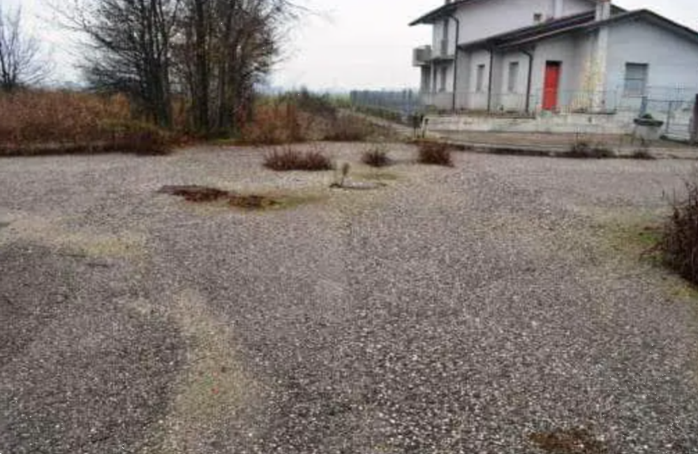immagine annuncio 1 di 13