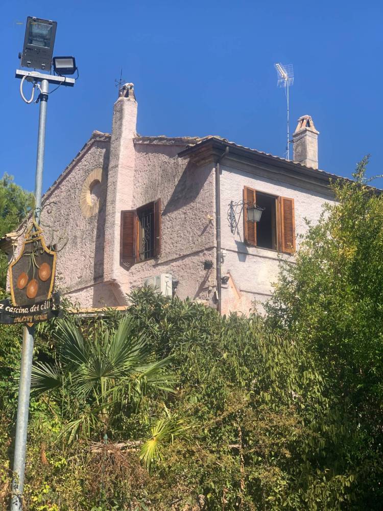 immagine annuncio 11 di 14