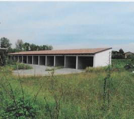immagine annuncio 2 di 6