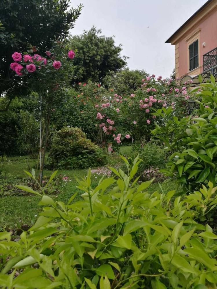 immagine annuncio 8 di 13