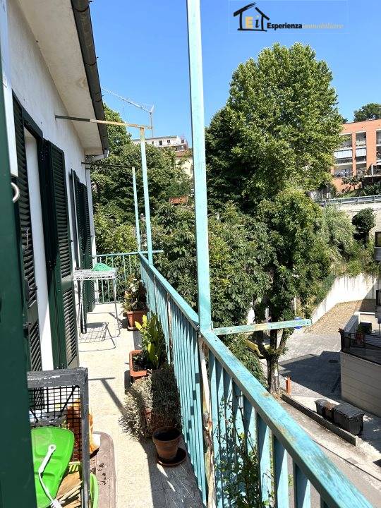 immagine annuncio 4 di 9
