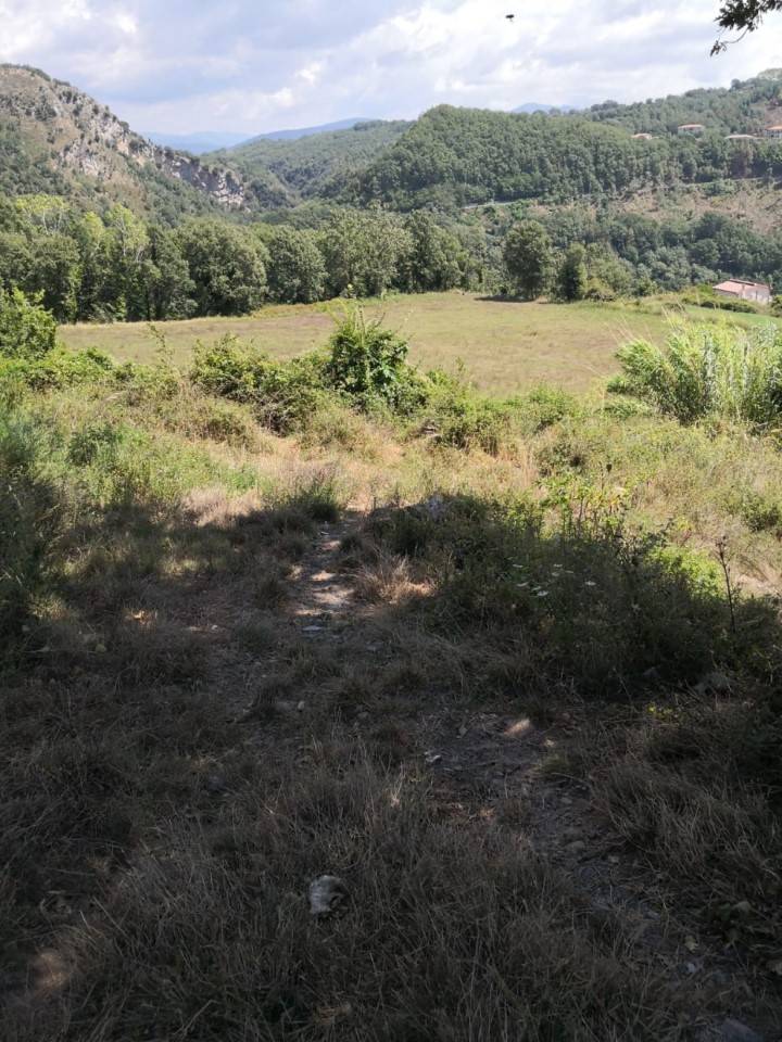 immagine annuncio 4 di 9