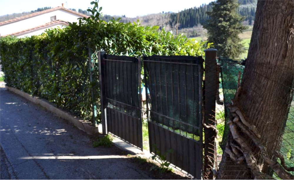 immagine annuncio 3 di 13