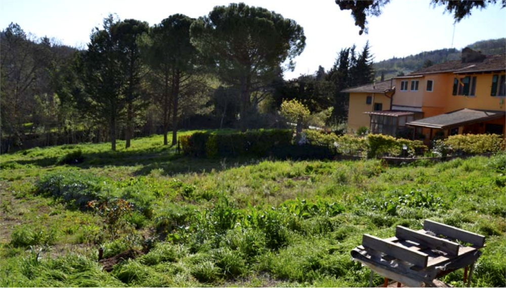 immagine annuncio 4 di 13