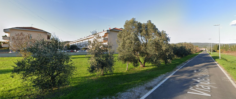 immagine annuncio 2 di 13