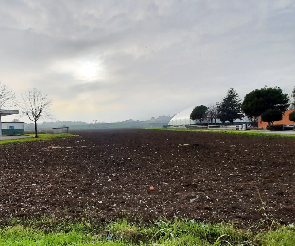 immagine annuncio 8 di 13