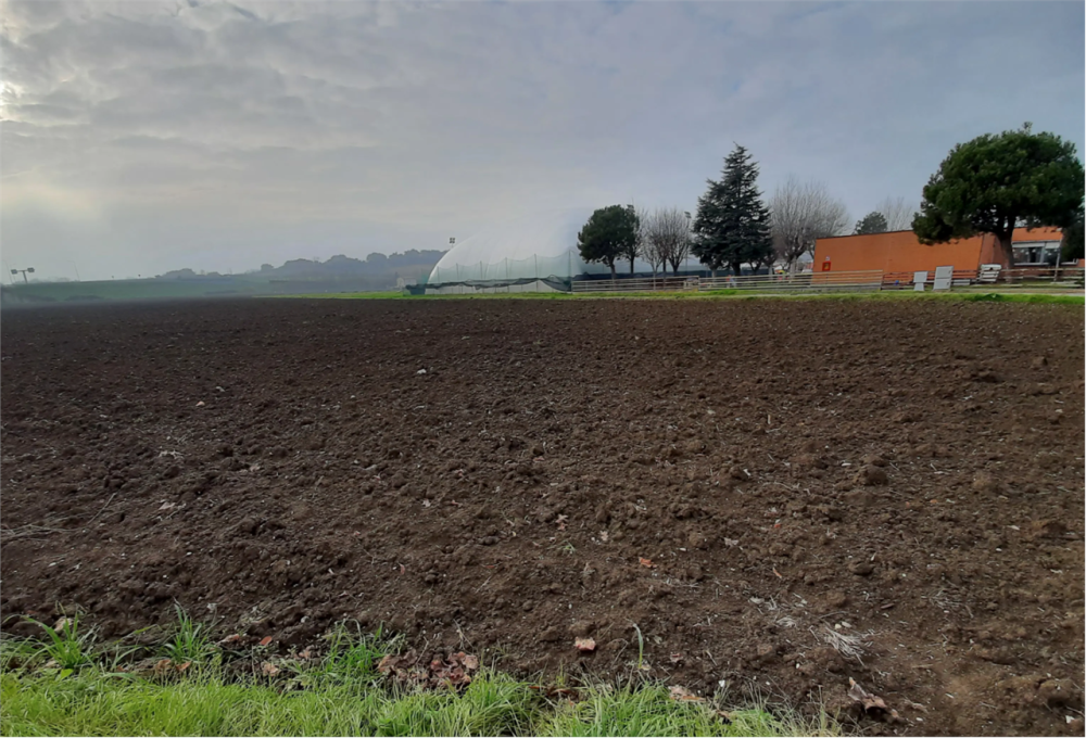 immagine annuncio 9 di 13