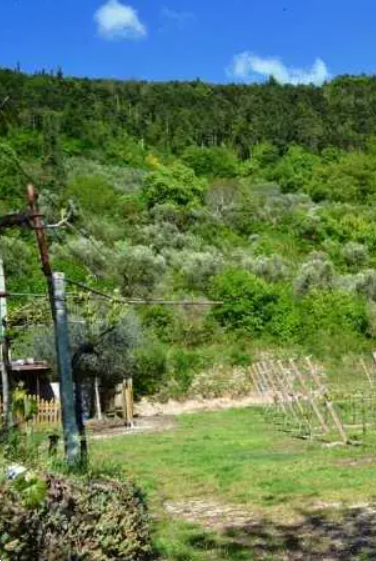immagine annuncio 3 di 13