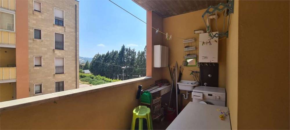 immagine annuncio 5 di 13
