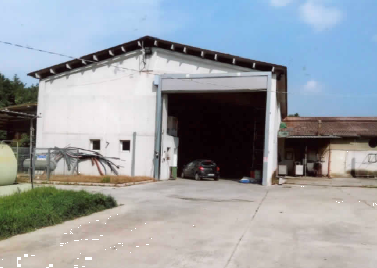 immagine annuncio 7 di 13