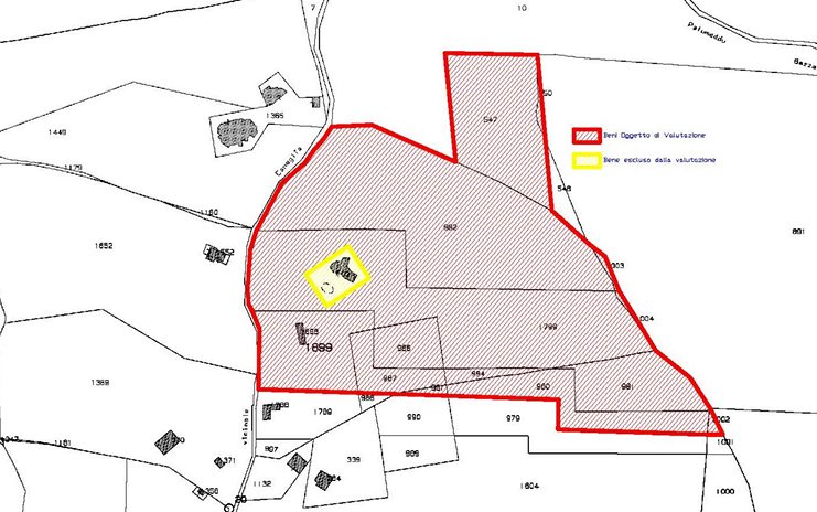 immagine annuncio 3 di 13