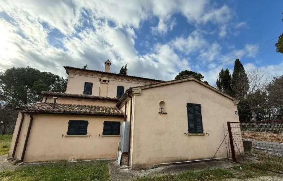 immagine annuncio 6 di 13