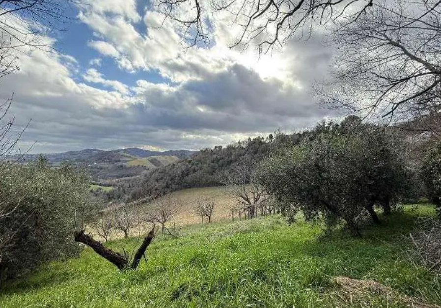 immagine annuncio 10 di 13