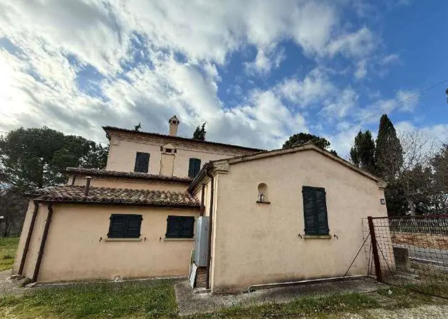 immagine annuncio 11 di 13