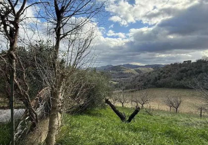immagine annuncio 12 di 13
