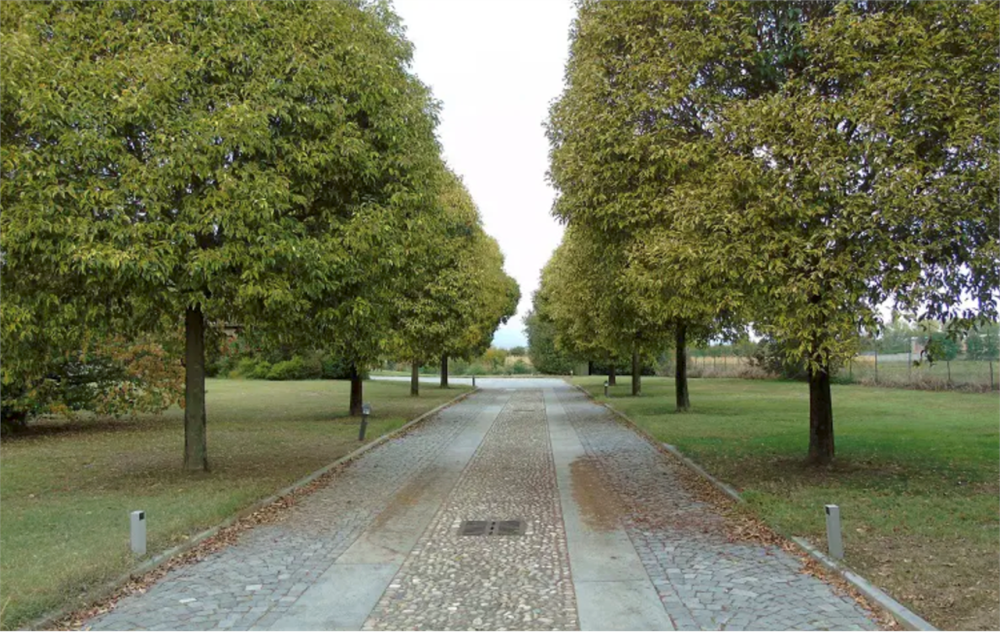 immagine annuncio 4 di 13