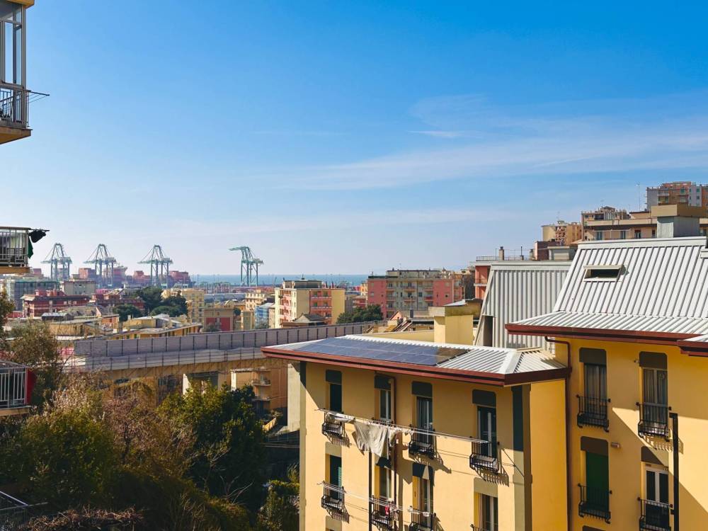 immagine annuncio 11 di 13