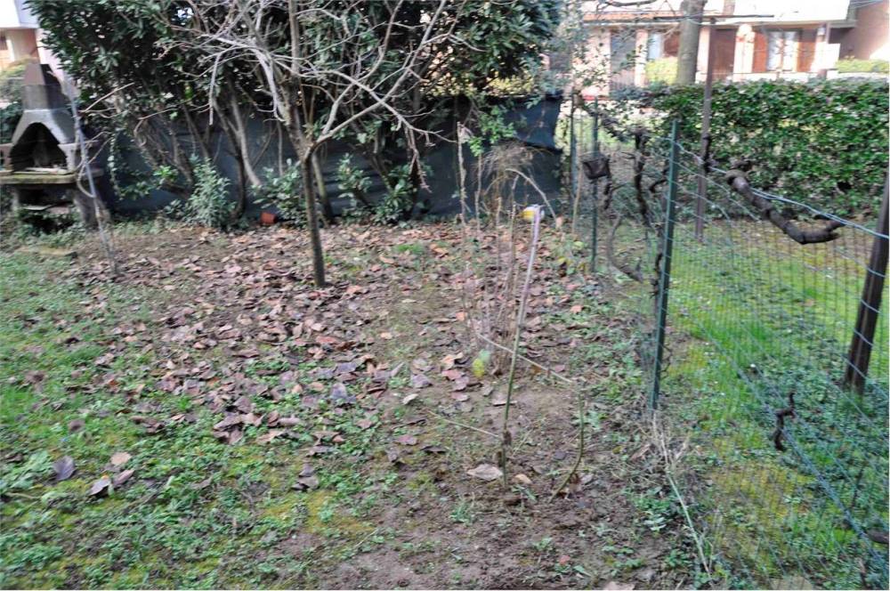 immagine annuncio 5 di 13