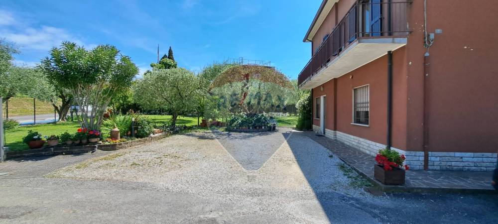 immagine annuncio 2 di 13