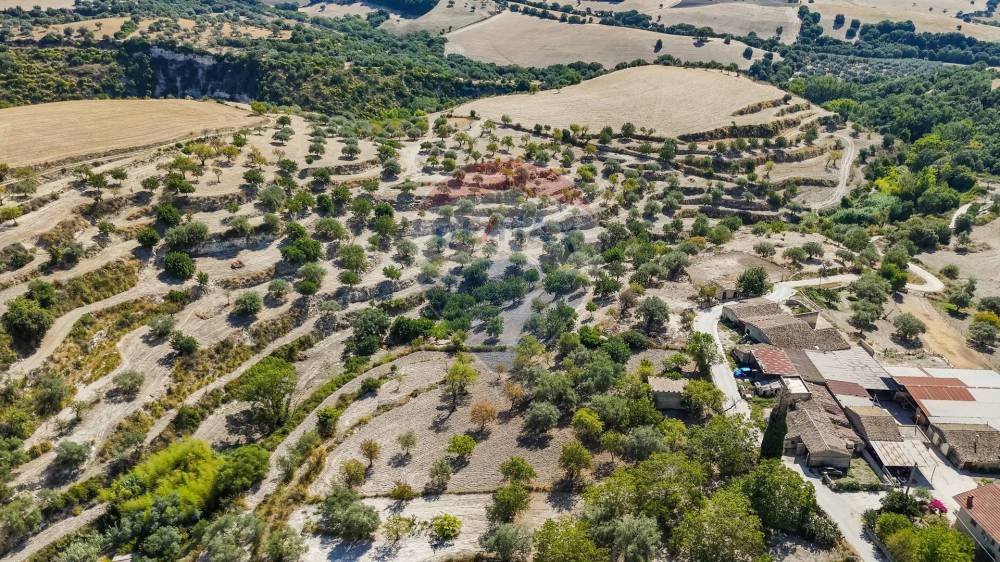 immagine annuncio 11 di 13