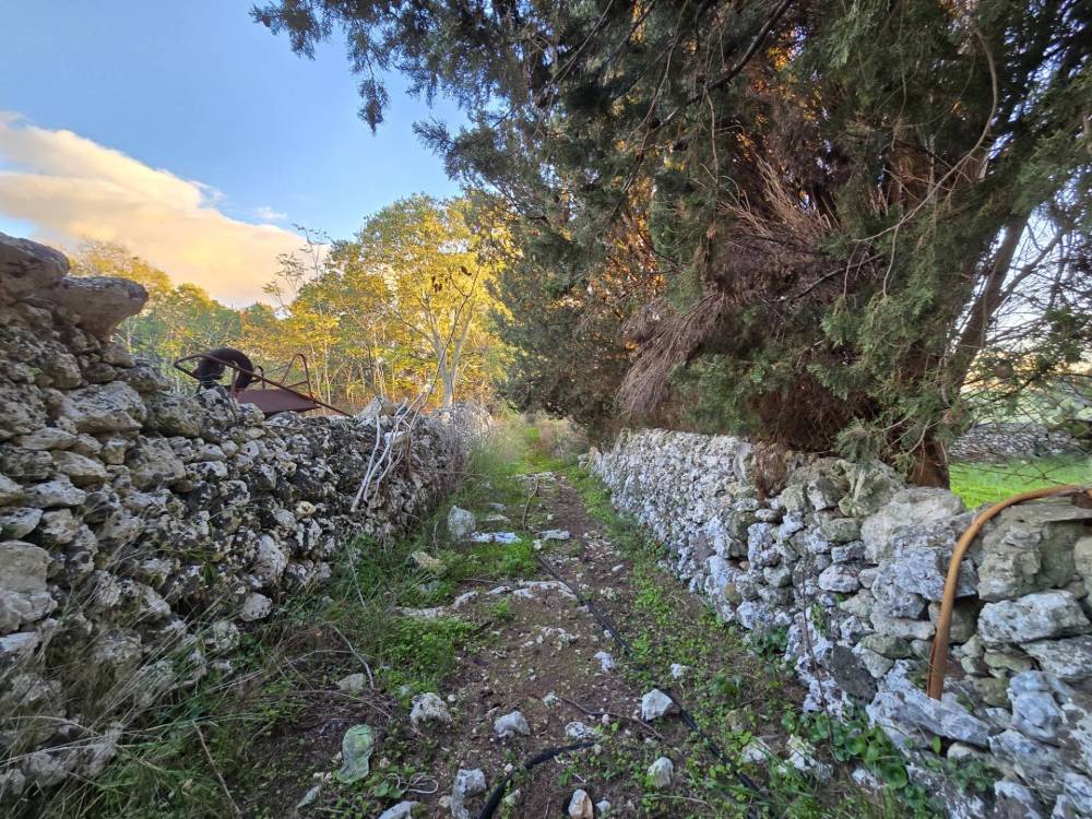immagine annuncio 8 di 13