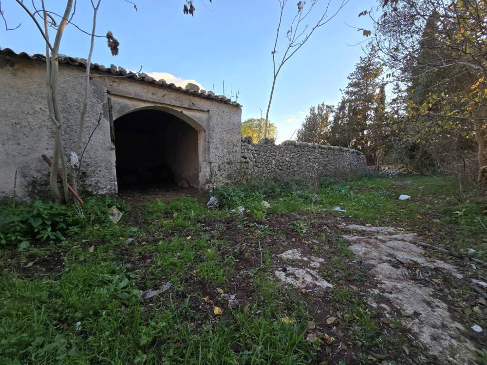 immagine annuncio 10 di 13