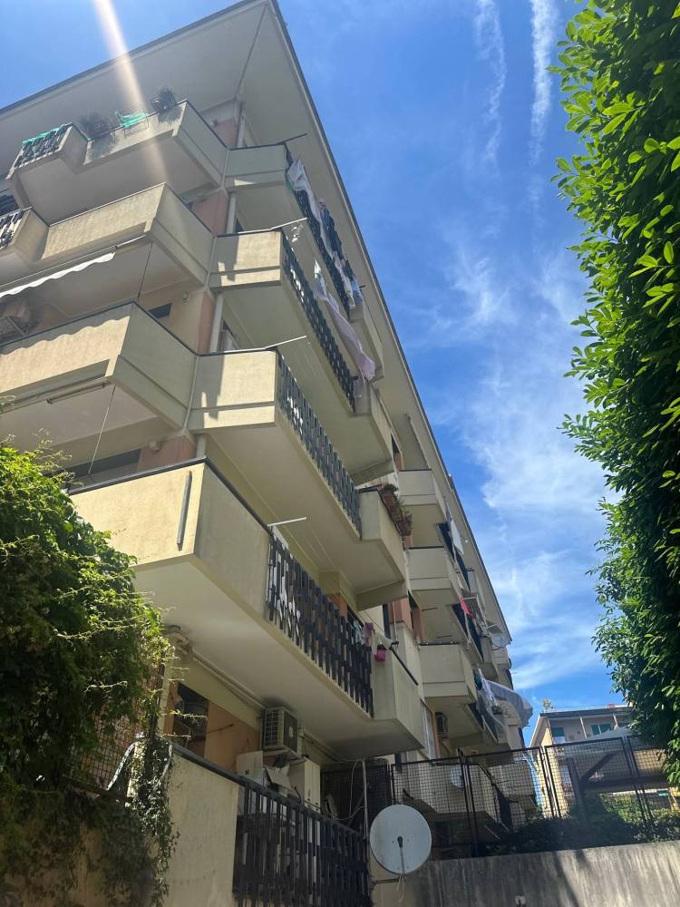 immagine annuncio 3 di 13