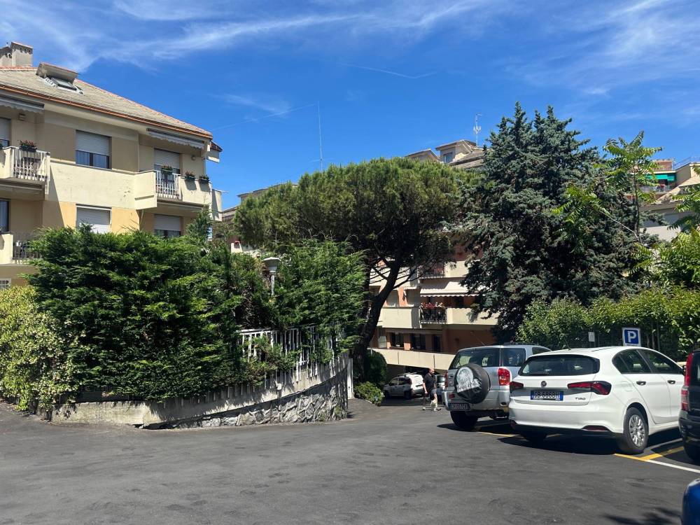 immagine annuncio 5 di 13
