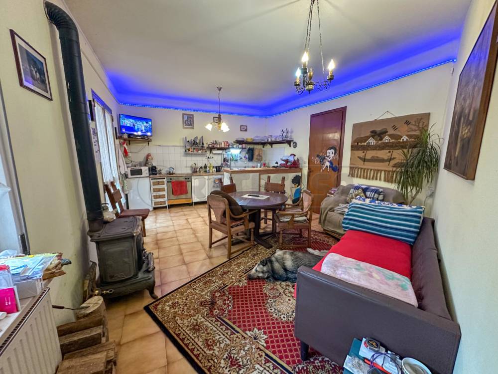 immagine annuncio 1 di 13