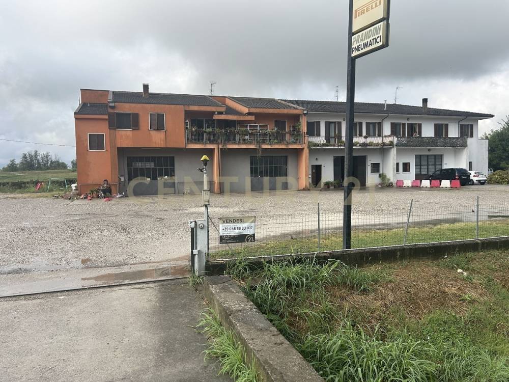 immagine annuncio 13 di 14