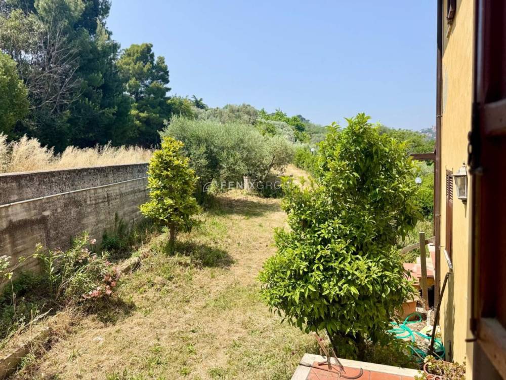 immagine annuncio 5 di 13