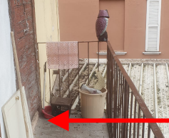 immagine annuncio 5 di 13