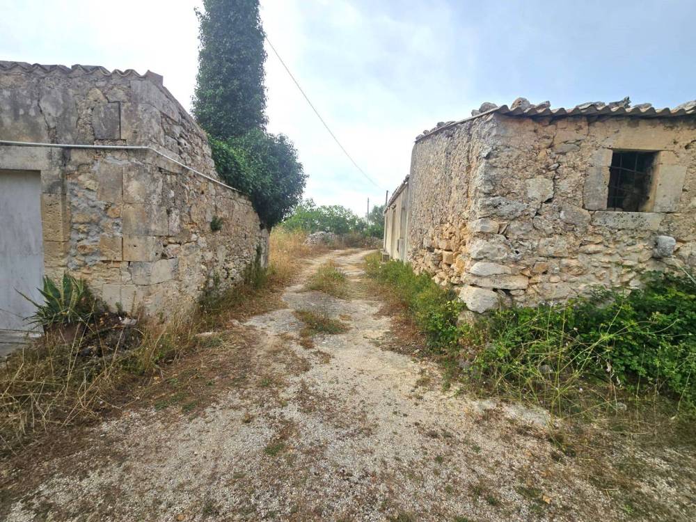 immagine annuncio 6 di 13
