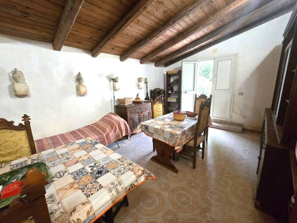 immagine annuncio 8 di 13