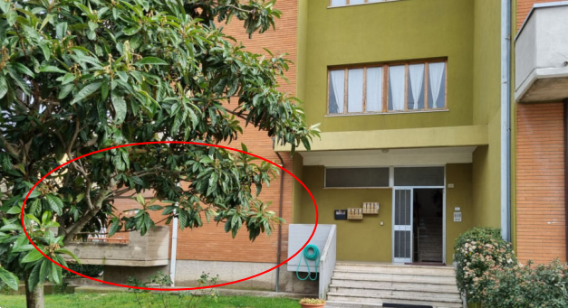 immagine annuncio 3 di 13