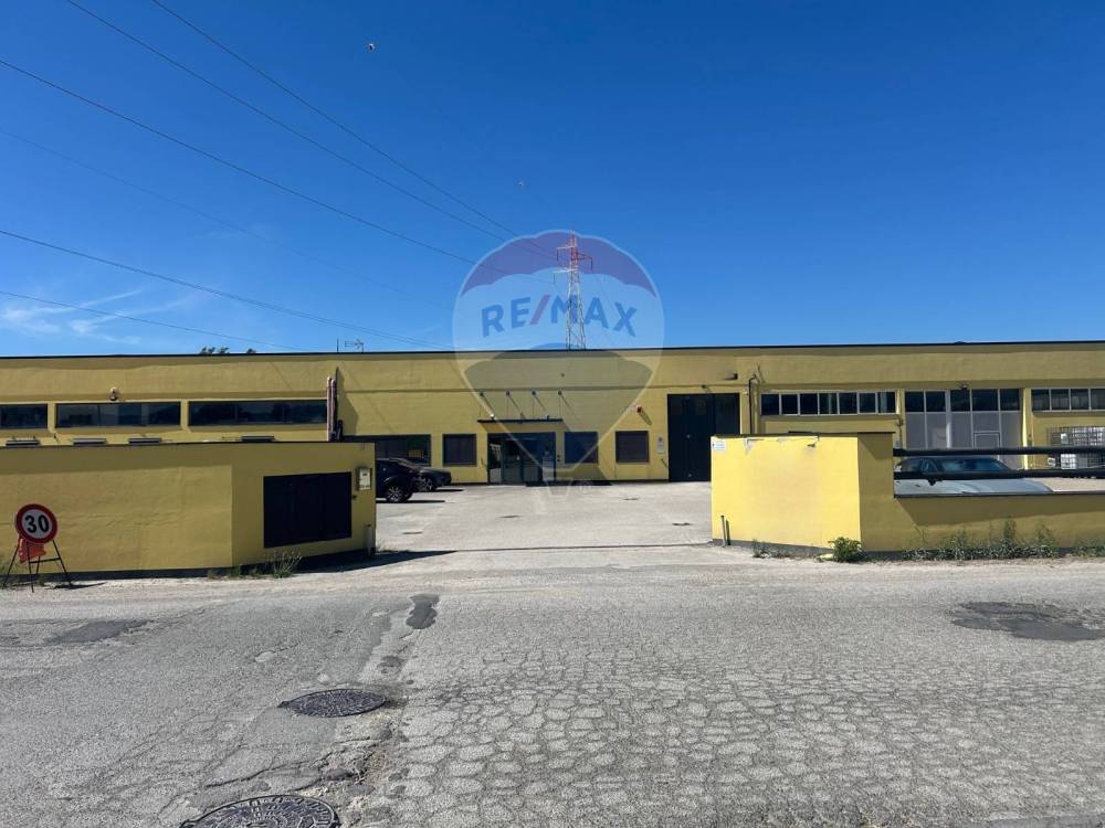 immagine annuncio 3 di 13