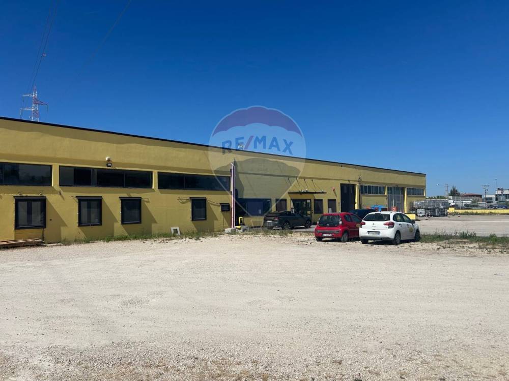 immagine annuncio 2 di 13