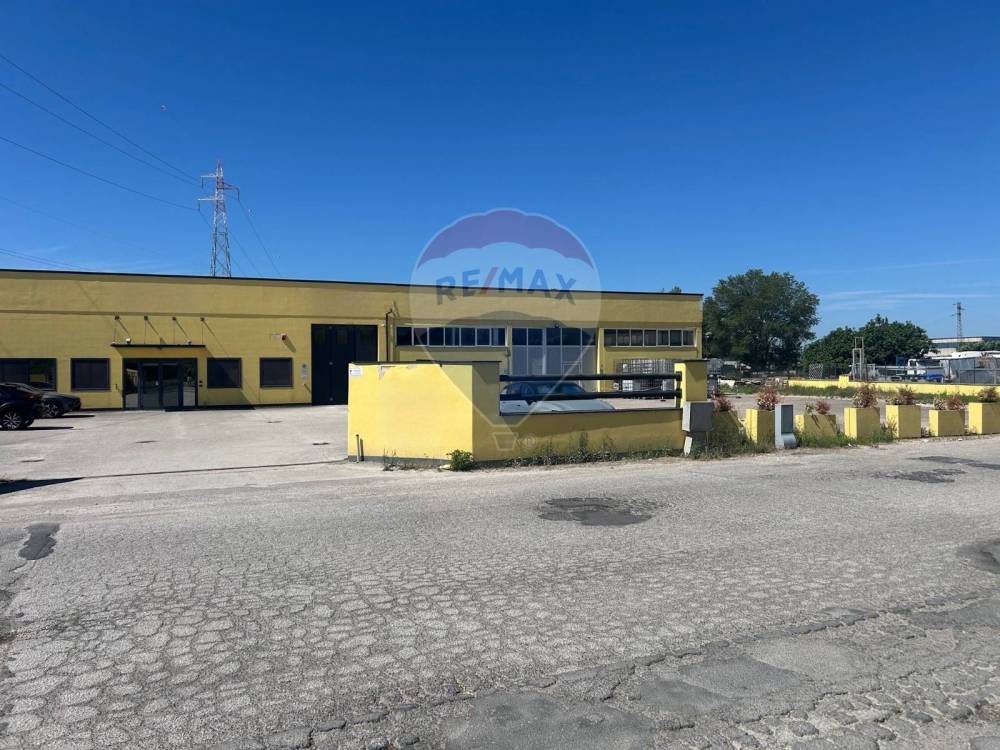 immagine annuncio 1 di 13