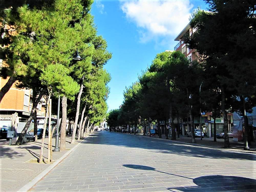 immagine annuncio 1 di 4