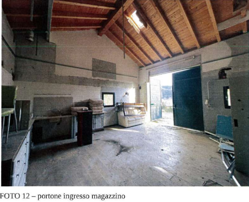 immagine annuncio 4 di 13
