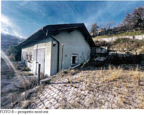 immagine annuncio 6 di 13