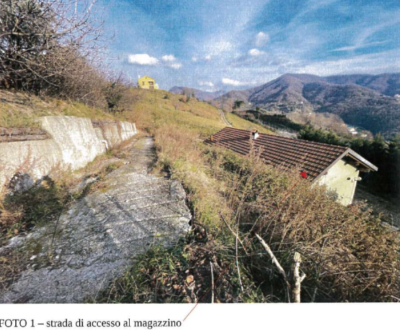 immagine annuncio 11 di 13